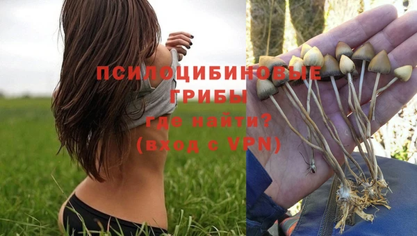 синтетический гашиш Богданович