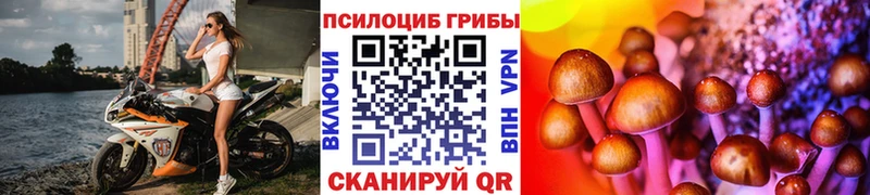 кракен ТОР  Сосенский  Псилоцибиновые грибы MAGIC MUSHROOMS 